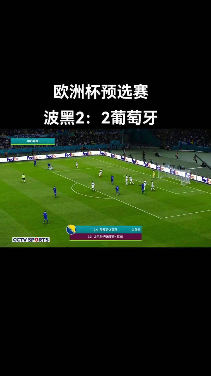 匈牙利战波黑，角逐欧洲杯资格